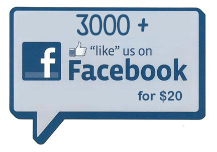 give you 3000 FACEBOOK likes fans 