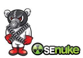 I will provide SeNuke Service to create backlinks of high quality - Highest Rated SeNuke X Service at SeoClerks