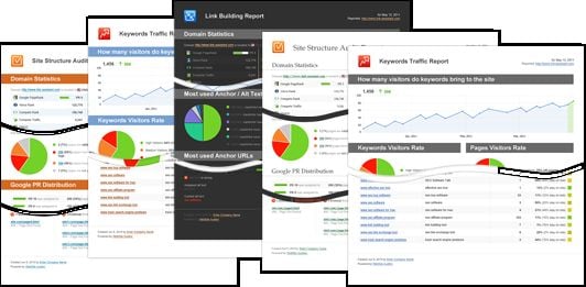 give you an Expert SEO report and analysis of your website included with diagrams that are easy to understand in printable pdf format