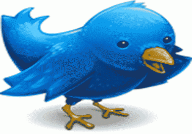 will get 5000+ Twitter Followers for your Account Within 24 hours without password access 