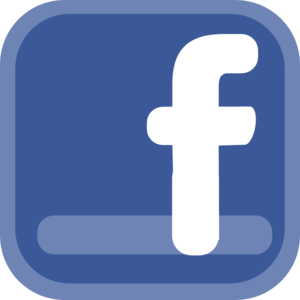 promote your business link video on my facebook fanpage containing more than 12600 people