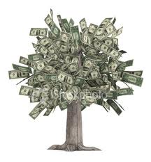 give you marketing and affiliate packages worth $8000