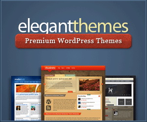 give you 5 Elegant WordPress Theme of your choice