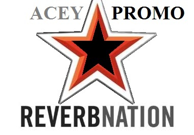  provide 100+ Authentic Reverbnation Fans @!@#