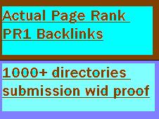 create 10 page pr1 links real google page rank pr1 with anchor keyword and submit ur sites to 1000+ directories submission with proof