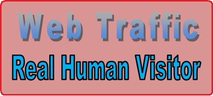 Deliver 12000 ++ Traffic Real Human Visitors to Your Website.