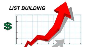 Show You How To Build Your list For Big Profit