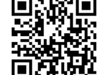 turn your website into an Android app 