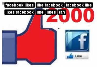 send 2000+ Facebook Likes, Fans to your Fb Page, Website, Photo or status in under 96 hours