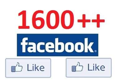 add 2000 High Quality Facebook Likes, Fans to your Page in under 24 hrs 
