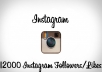 get you 12000 instagram followers/likes