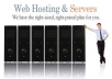 sell FULL Web Hosting Service 1 Year