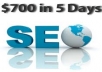 I will Give you the Method to make 700$ in 5 days including video guide, wordpress templates..