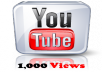I Give You 1000+ YouTube Views Within 24 Hours Without Harming Your YouTube Video or Account