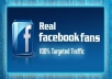 Give You 75 Mannual Facebook Likes And Not With Liking Bots
