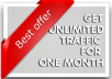 Drive BEST QUALITY Unlimitedwebsite traffic For 1 month, only visitors from usa (or usa+canada if requested) plus 7 bonus days