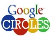 give you 150 real guaranteed google Plus circle only 