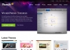  I will Give  you the Chance to choose 3 Themes from Themify.me and I will provide them for you