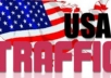 deliver 5000 Real Human Traffic To Your Website/Blog Maximum visitor from USA only