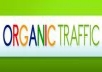 Send 5000 Adsense Safe Visitors to your website/blog