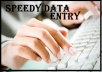 I will do any kind of data entry work in less time with accuracy