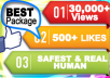add 30,000+ REAL HUMAN YouTube Views and 500+ Likes on YouTube