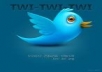 Get you 200++ Twitter Followers, 100% real & Genuine only 