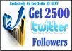 Provide You 2500 Real And Active Twitter Follower Only