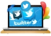 Get you 700++ Twitter Followers 100% real & Genuine only