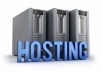 i will give you Unlimited Disk Space, Unlimited Traffic Hosting