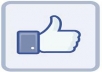 give my facebook like for your web site