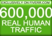 I will drive 600,000 genuine REAL adsense safe traffic to your site for 2 months