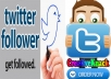 Get You 7000+ Stable twitter followers to your twitter account 