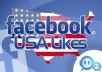 Give You 1000+ *USA Real Insight* Facebook Fanpage Likes Within 12-Hours