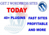 securely install your new 2 WORDPRESS sites plus one site extra
