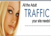 1,000+ Real Targeted Adult Website Visitors
