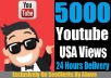Get You 5000 Youtube Real USA Views Plus 10 Likes Bonus Inside