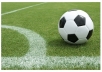 Write a 500 word SEO optimized article about soccer