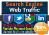send unlimited Traffics by Google✺Facebook✺Twitter✺Youtube✺Pinterest traffics to your web/blog for 1 month. Search engine unique traffics of your choose with report