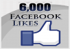 add 6060+ REAL  Facebook Likes to anyFan Page