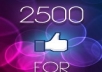 give you 2,500 Real look [PERMANENT] facebook likes to your fan page in 24 hours
