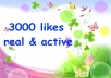 add 3000 [Real ] facebook likes to your facebook fan page within 24 hours