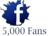 Get You FAST 5000 Real Facebook Fanpage Like Or Facebook Follower