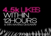 provide 4500+ REAL Facebook Likes to your facebook