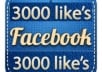 add 3000 [Real and Stay] facebook likes to your facebook fan page within 24 hours