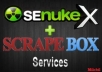 I will run Senuke Xcr to create Google Loved links 72 hours Multilingual Supported Gig Exclusive Buy 3 Get 1 Free@!#$#