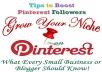Get You 200 Pinterest Followers
