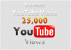  give you guaranteed 25,000 youtube views to your youtube video