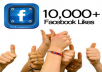give 10000 permenent Fb likes to your web site in 24 hours
