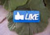 Give you 110+ Facebook fan likes on your any fan page not from bot